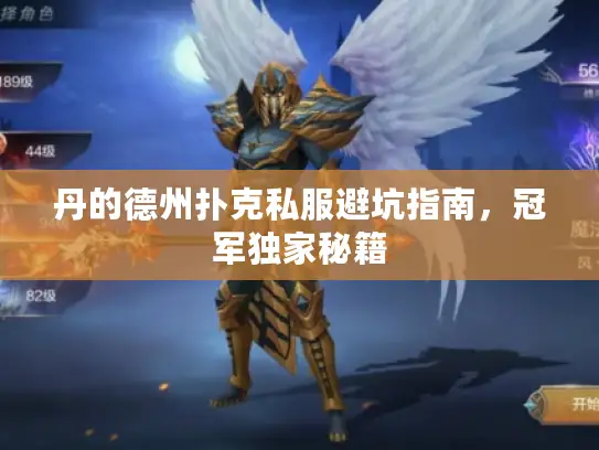 丹的德州扑克私服避坑指南,冠军独家秘籍 丹的德州扑克私服避坑指南,冠军独家秘籍