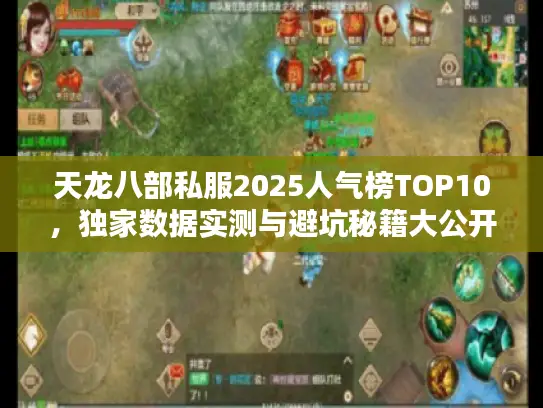 天龙八部私服2025人气榜TOP10，独家数据实测与避坑秘籍大公开