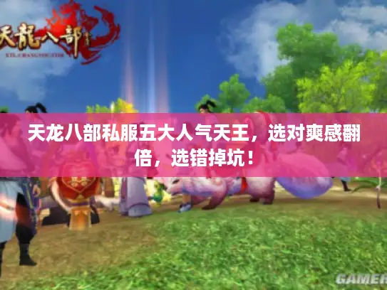天龙八部私服五大人气天王,选对爽感翻倍,选错掉坑! 天龙八部私服五大人气天王,选对爽感翻倍,选错掉坑!