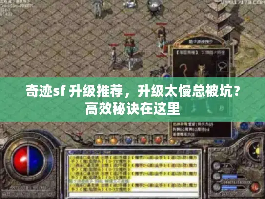 奇迹sf 升级推荐，升级太慢总被坑？高效秘诀在这里