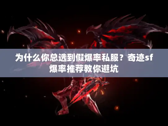 为什么你总选到假爆率私服？奇迹sf爆率推荐教你避坑