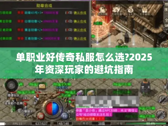 单职业好传奇私服怎么选?2025年资深玩家的避坑指南