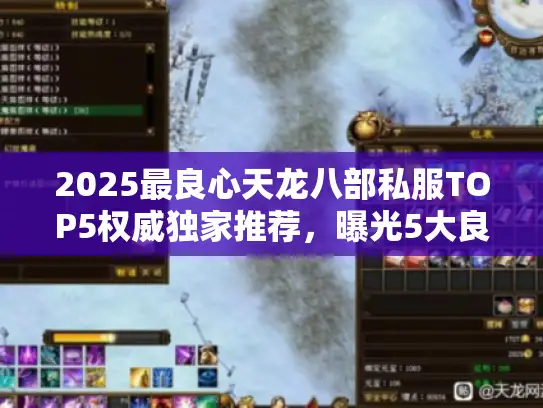 2025最良心天龙八部私服TOP5权威独家推荐，曝光5大良心选择