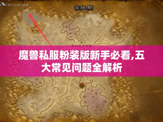魔兽私服粉装版新手必看,五大常见问题全解析