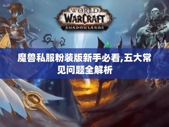 魔兽私服粉装版新手必看,五大常见问题全解析