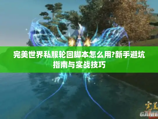 完美世界私服轮回脚本怎么用?新手避坑指南与实战技巧