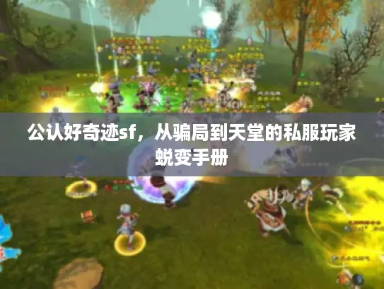 公认好奇迹sf，从骗局到天堂的私服玩家蜕变手册