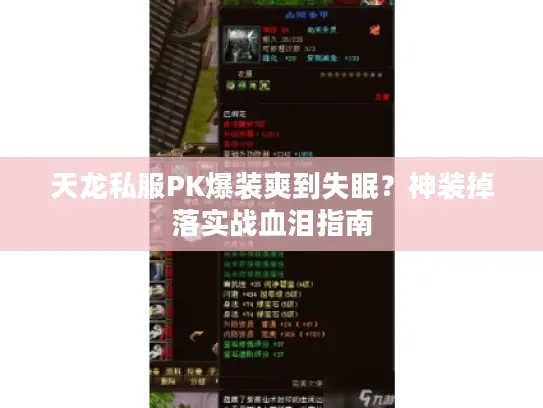 天龙私服PK爆装爽到失眠？神装掉落实战血泪指南