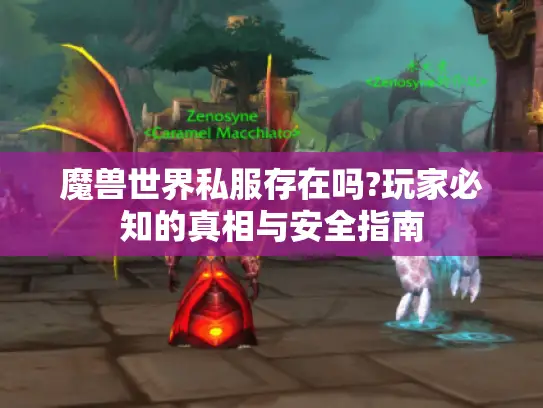 魔兽世界私服存在吗?玩家必知的真相与安全指南