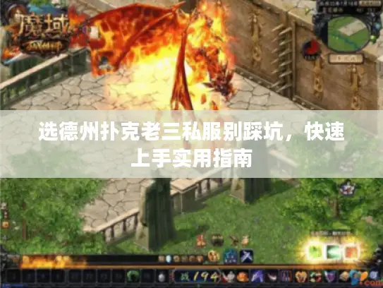 选德州扑克老三私服别踩坑，快速上手实用指南