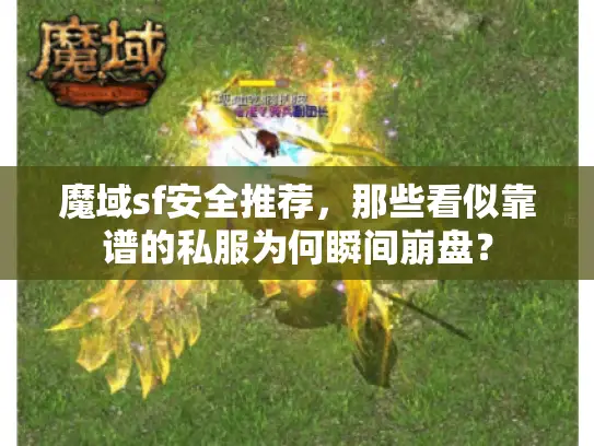 魔域sf安全推荐,那些看似靠谱的私服为何瞬间崩盘? 魔域sf安全推荐,那些看似靠谱的私服为何瞬间崩盘?