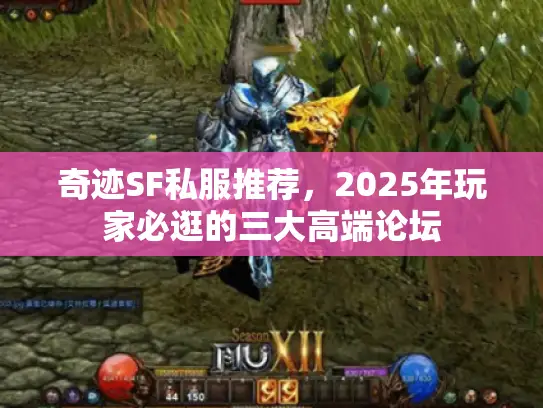 奇迹SF私服推荐，2025年玩家必逛的三大高端论坛
