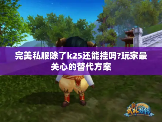 完美私服除了k25还能挂吗?玩家最关心的替代方案 完美私服除了k25还能挂吗?玩家最关心的替代方案