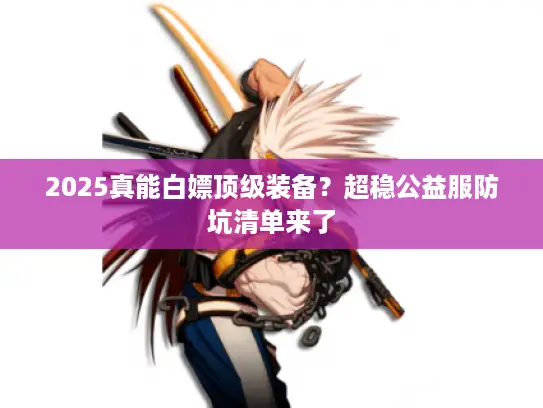 2025真能白嫖顶级装备？超稳公益服防坑清单来了