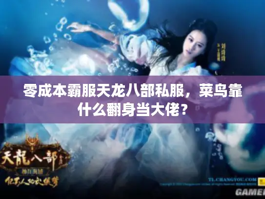 零成本霸服天龙八部私服，菜鸟靠什么翻身当大佬？