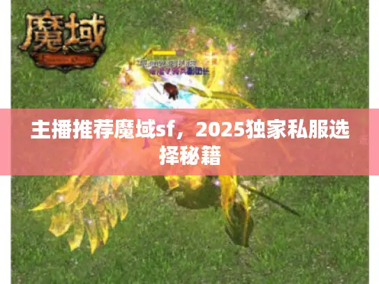 主播推荐魔域sf,2025独家私服选择秘籍 主播推荐魔域sf,2025独家私服选择秘籍
