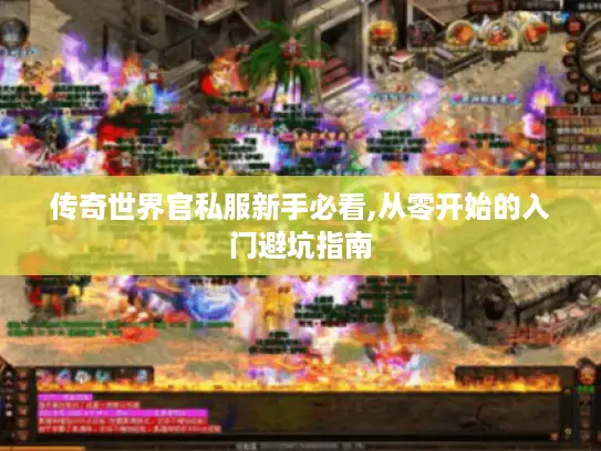 传奇世界官私服新手必看,从零开始的入门避坑指南