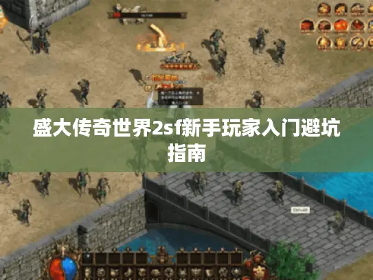 盛大传奇世界2sf新手玩家入门避坑指南 盛大传奇世界2sf新手玩家入门避坑指南
