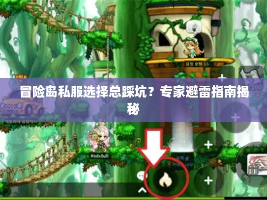 冒险岛私服选择总踩坑？专家避雷指南揭秘