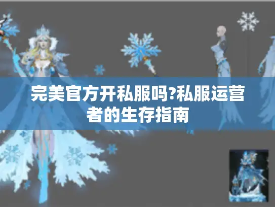 完美官方开私服吗?私服运营者的生存指南 完美官方开私服吗?私服运营者的生存指南