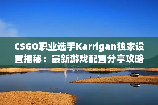 CSGO职业选手Karrigan独家设置揭秘：最新游戏配置分享攻略