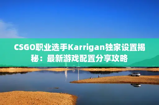 CSGO职业选手Karrigan独家设置揭秘：最新游戏配置分享攻略