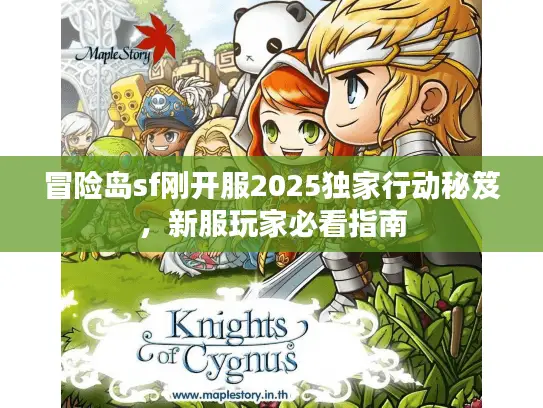 冒险岛sf刚开服2025独家行动秘笈,新服玩家必看指南 冒险岛sf刚开服2025独家行动秘笈,新服玩家必看指南
