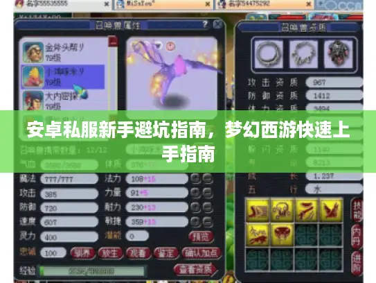 安卓私服新手避坑指南,梦幻西游快速上手指南 安卓私服新手避坑指南,梦幻西游快速上手指南