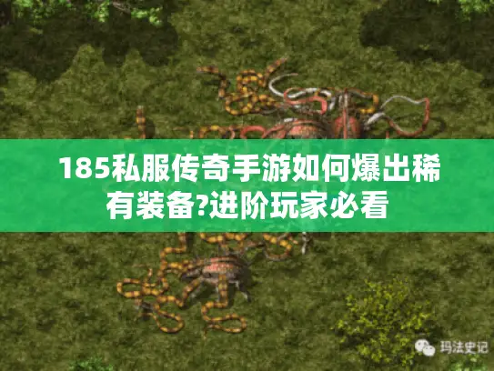 185私服传奇手游如何爆出稀有装备?进阶玩家必看