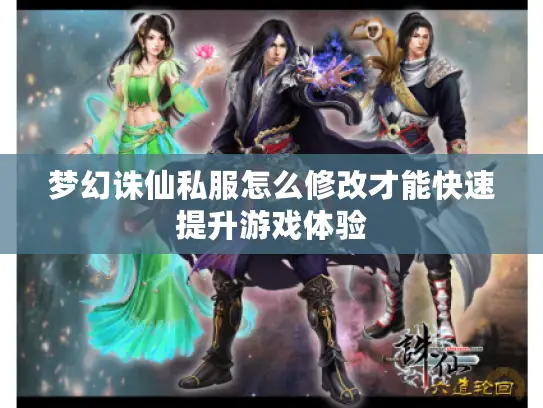 梦幻诛仙私服怎么修改才能快速提升游戏体验