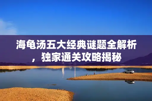 海龟汤五大经典谜题全解析，独家通关攻略揭秘