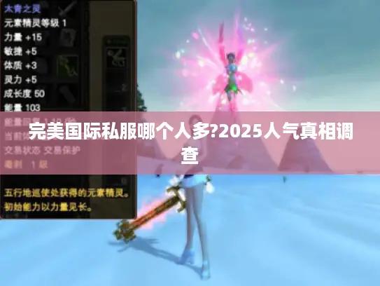 完美国际私服哪个人多?2025人气真相调查