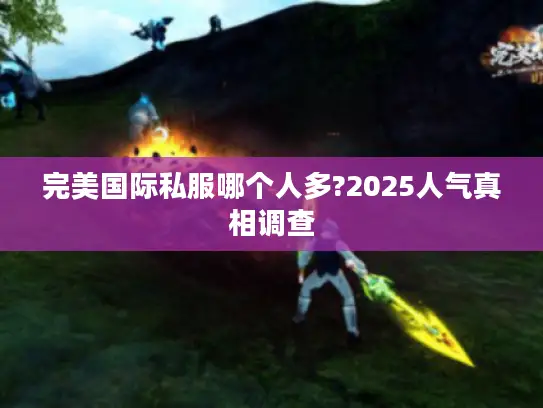 完美国际私服哪个人多?2025人气真相调查