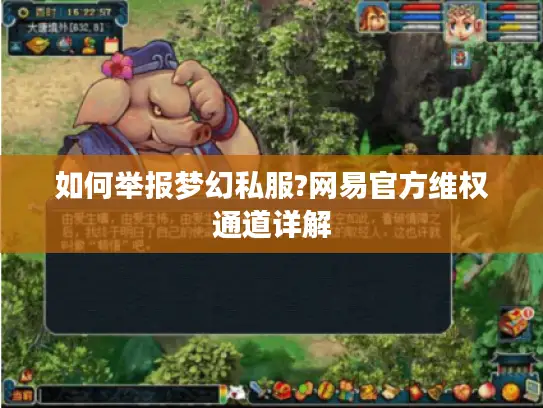 如何举报梦幻私服?网易官方维权通道详解