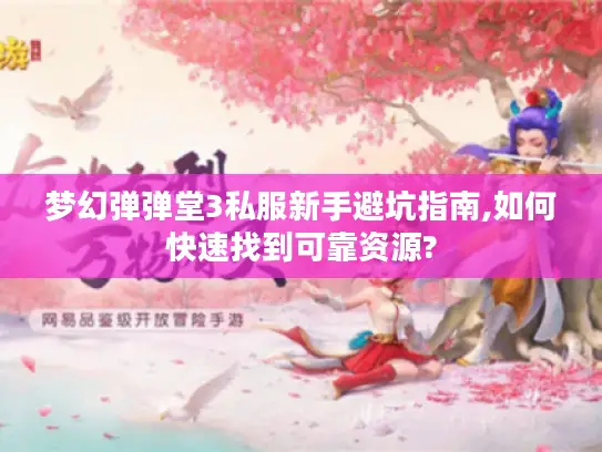 梦幻弹弹堂3私服新手避坑指南,如何快速找到可靠资源?