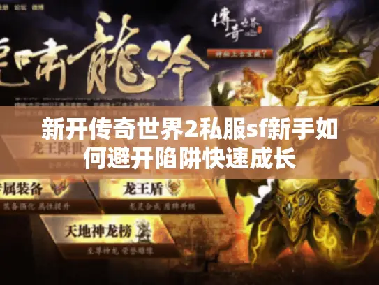 新开传奇世界2私服sf新手如何避开陷阱快速成长