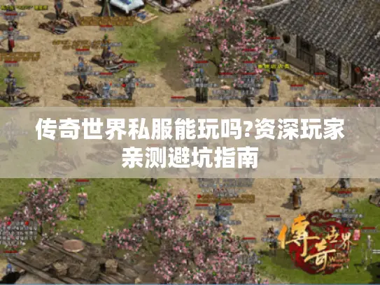 传奇世界私服能玩吗?资深玩家亲测避坑指南