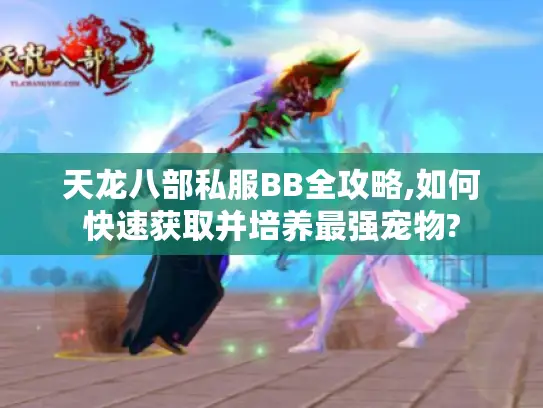 天龙八部私服BB全攻略,如何快速获取并培养最强宠物?