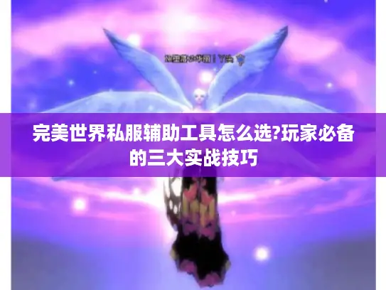 完美世界私服辅助工具怎么选?玩家必备的三大实战技巧 完美世界私服辅助工具怎么选?玩家必备的三大实战技巧