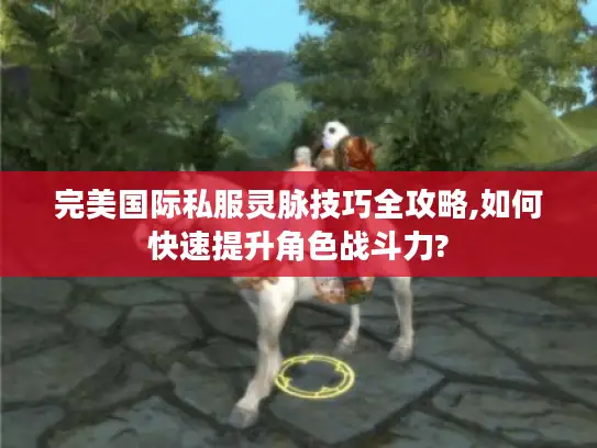 完美国际私服灵脉技巧全攻略,如何快速提升角色战斗力? 完美国际私服灵脉技巧全攻略,如何快速提升角色战斗力?