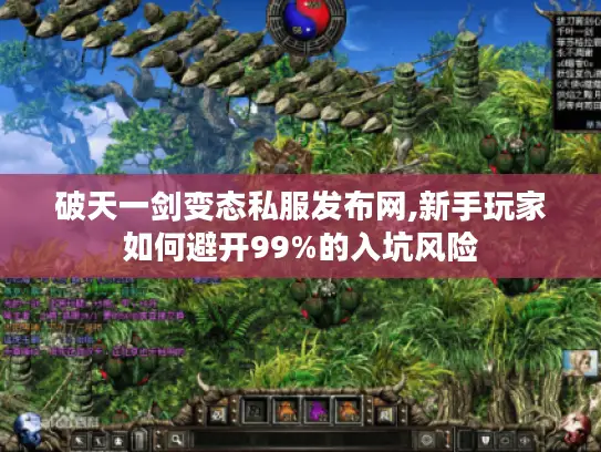 破天一剑变态私服发布网,新手玩家如何避开99%的入坑风险