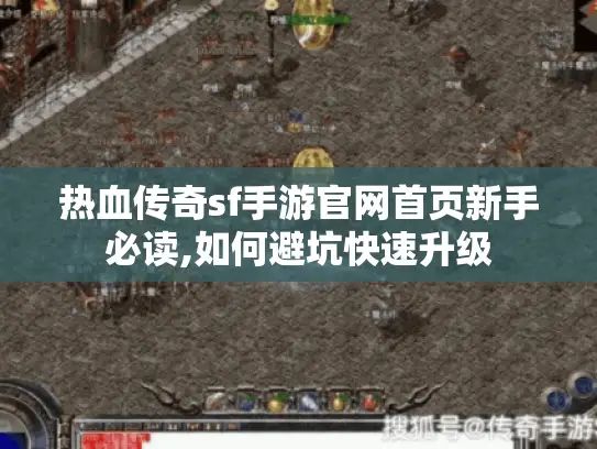 热血传奇sf手游官网首页新手必读,如何避坑快速升级