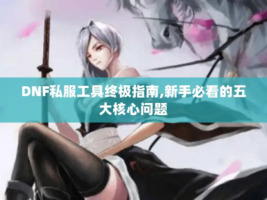 DNF私服工具终极指南,新手必看的五大核心问题