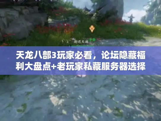 天龙八部3玩家必看,论坛隐藏福利大盘点+老玩家私藏服务器选择秘籍 天龙八部3玩家必看,论坛隐藏福利大盘点+老玩家私藏服务器选择秘籍