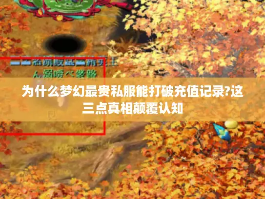 为什么梦幻最贵私服能打破充值记录?这三点真相颠覆认知 为什么梦幻最贵私服能打破充值记录?这三点真相颠覆认知