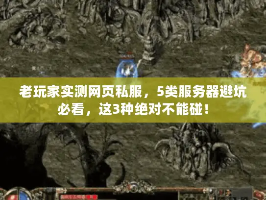 老玩家实测网页私服,5类服务器避坑必看,这3种绝对不能碰! 老玩家实测网页私服,5类服务器避坑必看,这3种绝对不能碰!