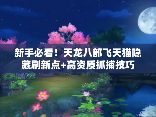 新手必看！天龙八部飞天猫隐藏刷新点+高资质抓捕技巧