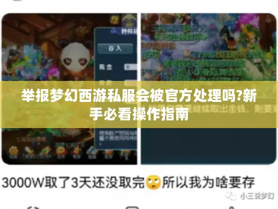 举报梦幻西游私服会被官方处理吗?新手必看操作指南 举报梦幻西游私服会被官方处理吗?新手必看操作指南