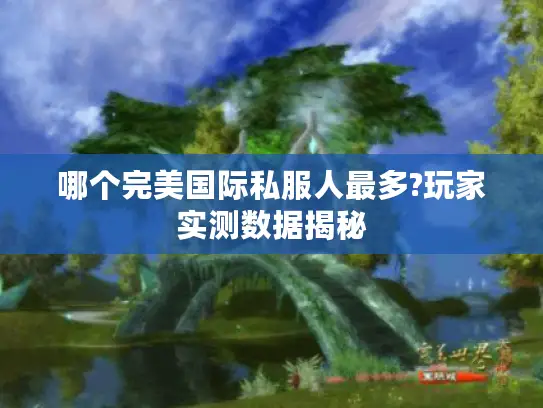 哪个完美国际私服人最多?玩家实测数据揭秘 哪个完美国际私服人最多?玩家实测数据揭秘