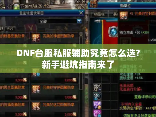 DNF台服私服辅助究竟怎么选?新手避坑指南来了 DNF台服私服辅助究竟怎么选?新手避坑指南来了